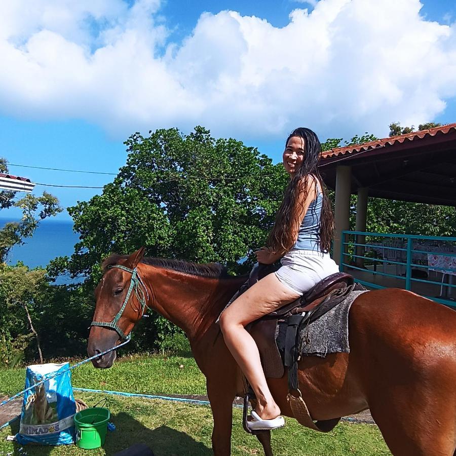 Rancho Juancho Hotel Portobelo Luaran gambar
